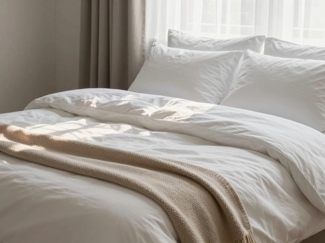 Do We Say Bedding or Beddings? The Correct Usage Explained